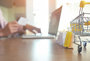 essopcart - DMEasyBiz POS System - DMEasyBiz POS System